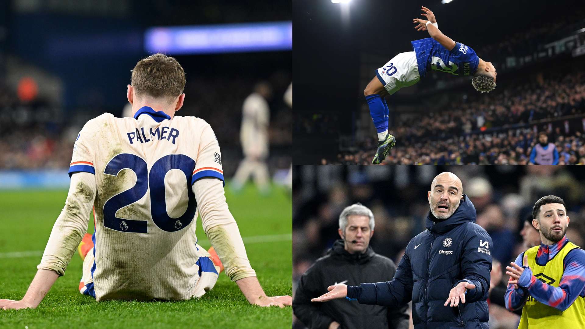 智慧和冷静 智慧和冷静